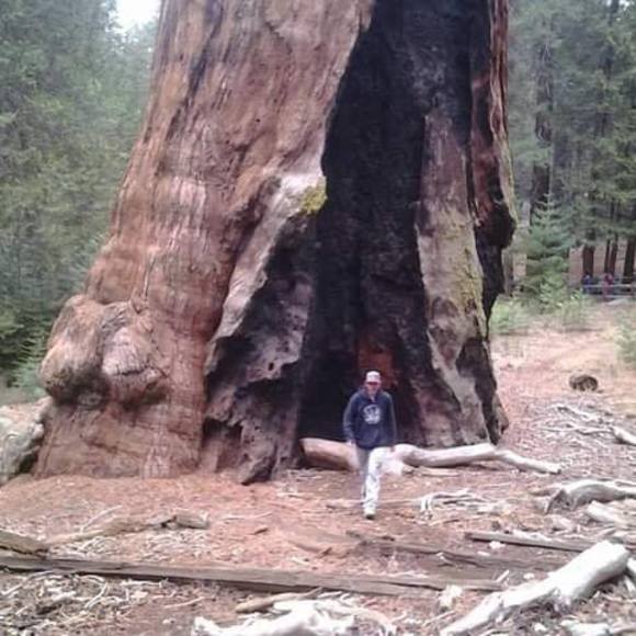 Meet your Posher, Clinton - Picture 1 of 1